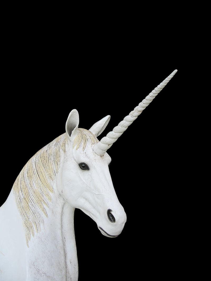 Unicorn Delights
